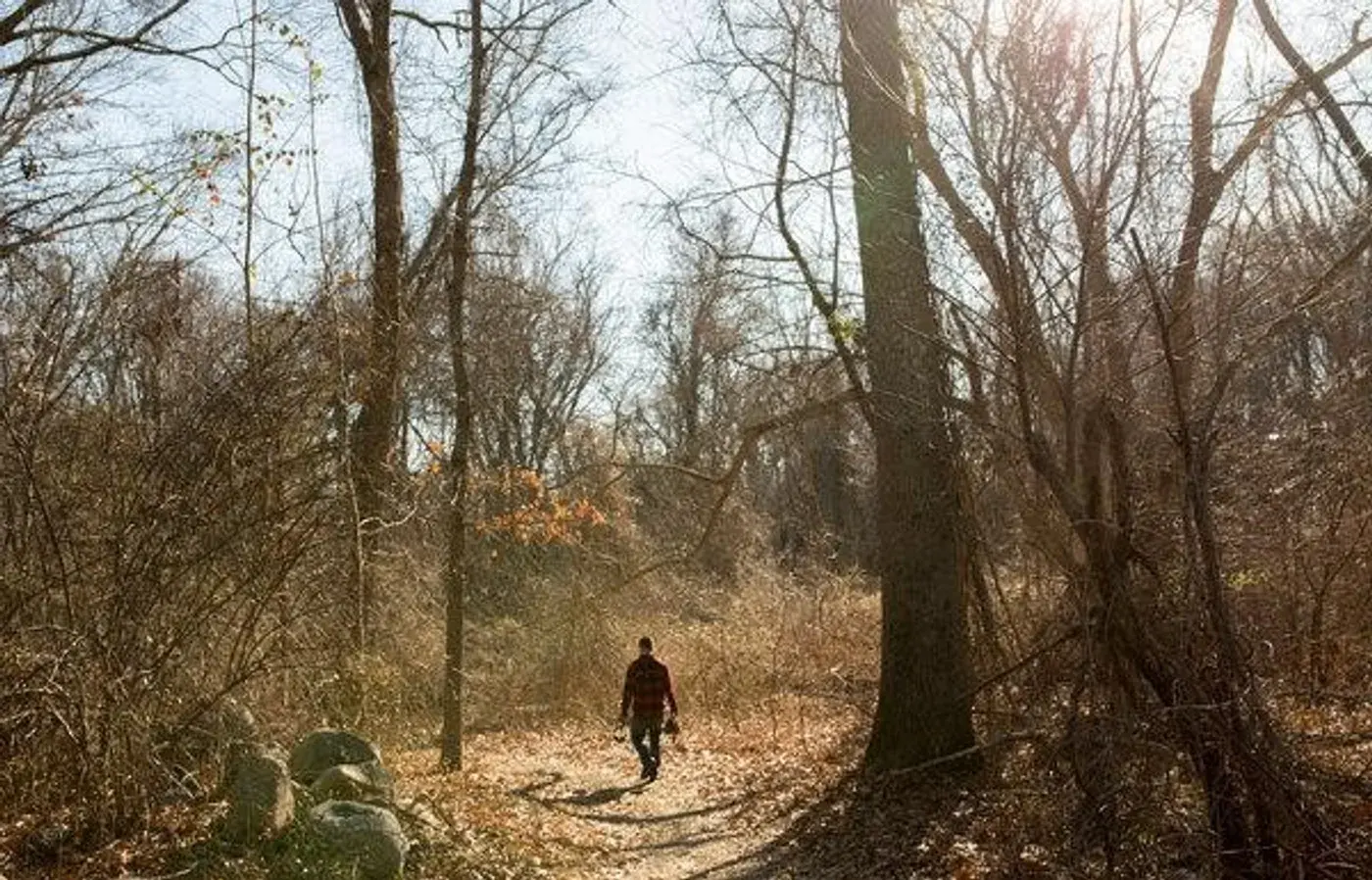 Keith Wille, a metal detectorist, walks in the Connecticut woods where he has found artifacts